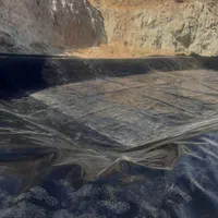 اجرای ورق عایق  ژئوممبران|خدمات باغبانی و درختکاری|تهران, افسریه شمالی|دیوار