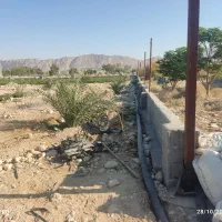 فروش یک ونیم هکتار زمین کشاورزی|فروش زمین و ملک کلنگی|ریز, |دیوار