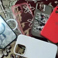 قاب دوازده پرومکس