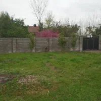 زمین ۴۹۵ متر فومن|فروش زمین و ملک کلنگی|گوراب زرمیخ, |دیوار