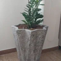 گلدان وگل
