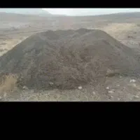 کود حیوانی