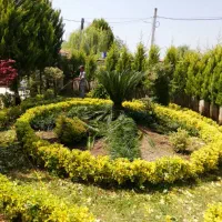 استخدام تراشکار