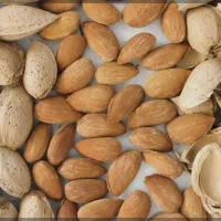 بادام شکن (هسته شکن)