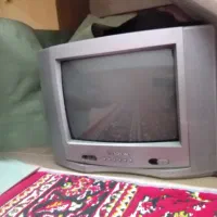 دو عدد تلویزیون|تلویزیون و پروژکتور|کازرون, |دیوار