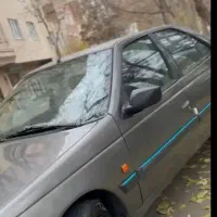 راننده، نظافت، نقاشی ساختمان، جوشکاری