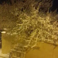 نیروی کار