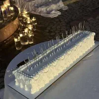 دو عدد ماکت کیک مستطیلی مناسب کیک متری|مجسمه، تندیس، ماکت|بیرجند, |دیوار