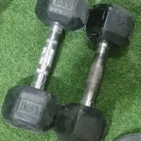 دو عدد دمبل ۱۰ کیلویی