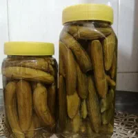 خیارشور خانگی