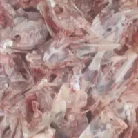 ضایعات مرغ برای سگ