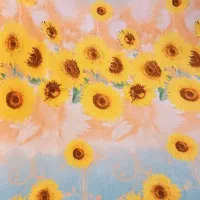 پتو ژله ای دو نفره چهار فصل (۲ عدد با هم)|رختخواب، بالش، پتو|تهران, مسعودیه|دیوار