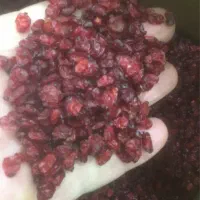 زرشک|خوردنی و آشامیدنی|تهران, فلاح|دیوار