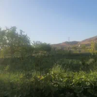 باغ. زمین. کلاته نقی.|فروش زمین و ملک کلنگی|بجنورد, |دیوار