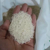 پخش برنج خوشپخت و فجر|خوردنی و آشامیدنی|بهارستان, |دیوار