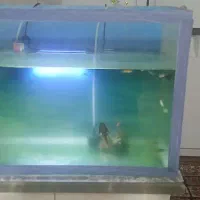 آکواریوم ۶۰در ۴۰
