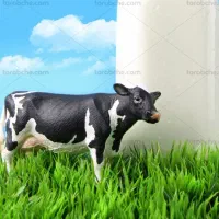 فروش شیر تازه گاو