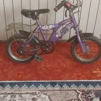 دوچرخه|دوچرخه، اسکیت، اسکوتر|گلبهار, شهر جدید گلبهار|دیوار