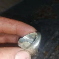 انگشترشجرتک درخت دستسازسیدذبیح|جواهرات|سپیدان, |دیوار