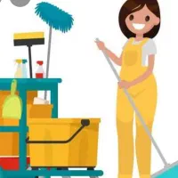 تمیز کار خانم راه پله