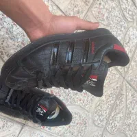 zx8000 کتونی|کیف، کفش، کمربند|رباط‌کریم, رباط‌کریم|دیوار