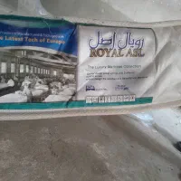 تشک طبی رویال اصل