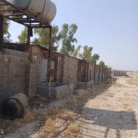 سوله ۶۰۰ متری|اجارهٔ دفتر صنعتی، کشاورزی، تجاری|نوبندگان, |دیوار