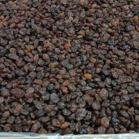 کشمش پلویی با قیمت مناسب|خوردنی و آشامیدنی|آذرشهر, |دیوار