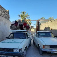 قالیشویی تمام اتوماتیک ادیب سیستان|خدمات نظافت|زابل, |دیوار