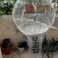 قفس پرنده|لوازم جانبی حیوانات|تهران, افسریه شمالی|دیوار