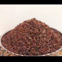 کشمش ارگانیک محلی همدان|خوردنی و آشامیدنی|قم, کلهری|دیوار