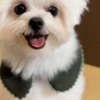 واگذاری غیر رایگان میباشد