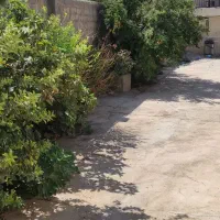 گاوداری|فروش دفتر صنعتی، کشاورزی، تجاری|ایوان, |دیوار