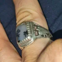 انگشتر کلیکسیونی منظره نقره شجر قائنات به شرط اصل|جواهرات|شیراز, فرگاز|دیوار