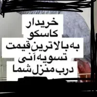 کاسکو سخنگو