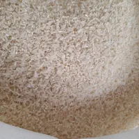 برنج،سرلاشه طارم امساله