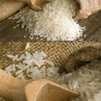فروش مستقیم برنج با کف قیمت، از کارخانه