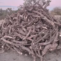 خرید چوب خشک و تر