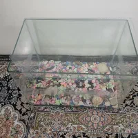 آکواریم ماهی|ماهی|الوند, |دیوار