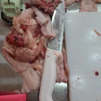 ضایعات مرغ روز