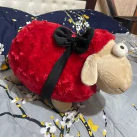 عروسک نو|اسباب‌‌بازی|قم, انسجام|دیوار