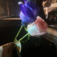 نیازمند پرستار کودک