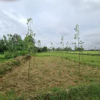 ۲۱۰۰هزار متر زمین مناسب برای ویلا باغ قیمت مناسب|فروش دفتر صنعتی، کشاورزی، تجاری|کوچصفهان, |دیوار