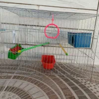 قفس|لوازم جانبی حیوانات|شهرکرد, |دیوار