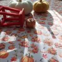 رومیزی ضدلک برای یلدا سفره دستمال دکوراتیو|سفره، حوله، دستمال آشپزخانه|کرج, گلستان|دیوار