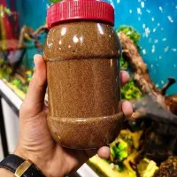 نوربیون