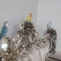 پرنده