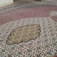 قالی 500 شانه