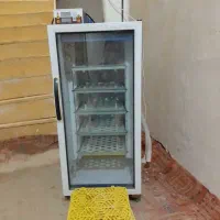 دستگاه جوجه کشی بلدرچین دماوند