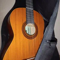 گیتار نو بدون استفاده